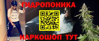 ешки Новозыбков