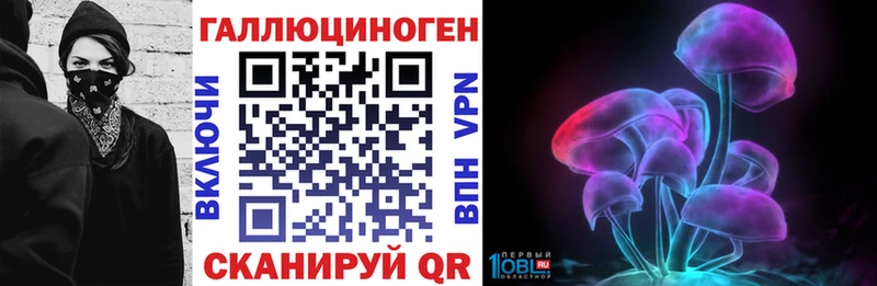 Галлюциногенные грибы Psilocybe  купить закладку  мега как войти  Биробиджан 