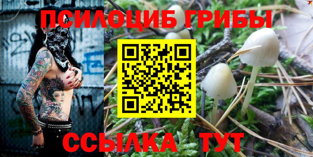 Псилоцибиновые грибы Cubensis Биробиджан