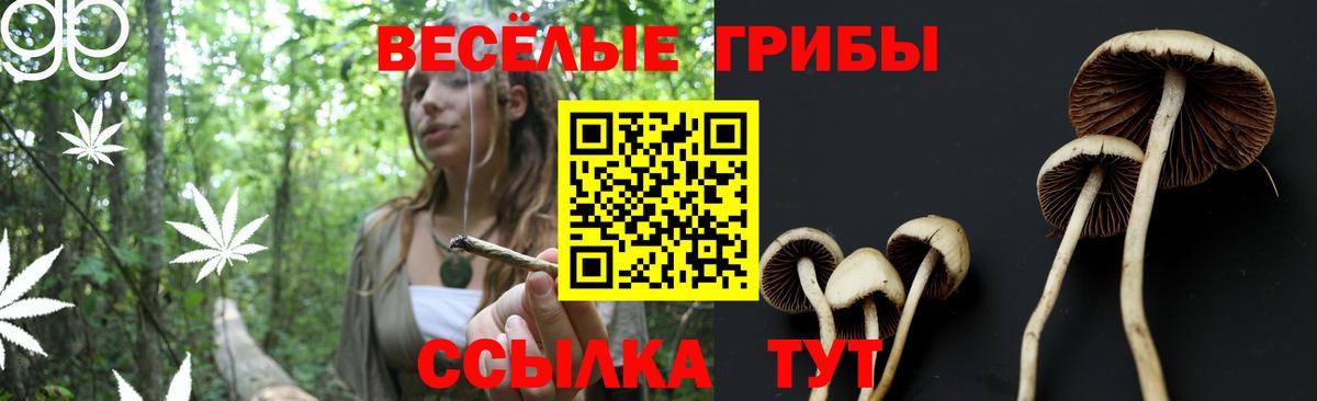 Биробиджан  Галлюциногенные грибы GOLDEN TEACHER  Вход с VPN 